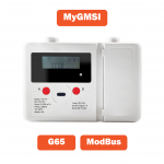 Gas meter a membrana MyGMSI-G65 con valvola di blocco e interfaccia ModBus